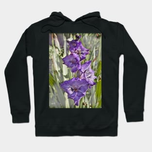 Iris Hoodie